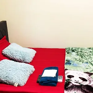 Cozy & Private Space Close To Rumc & Siuh Apartment New York